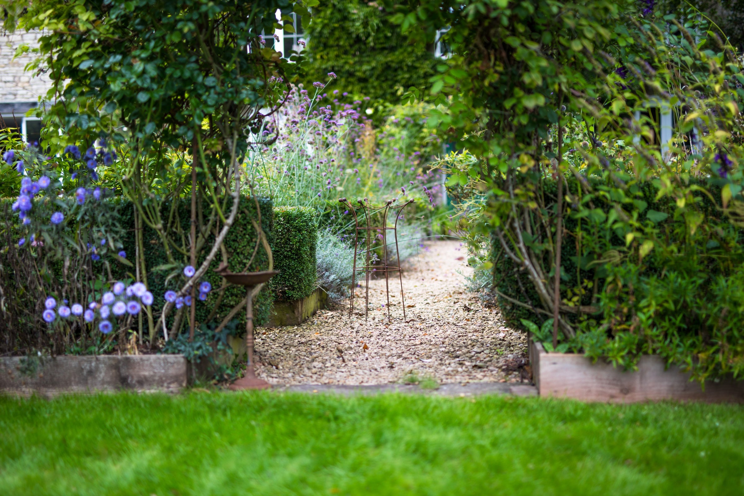 Elegance Coronet Obelisk on a gravel path linked by flowerbeds and hedges, forgreounded by a tree arch