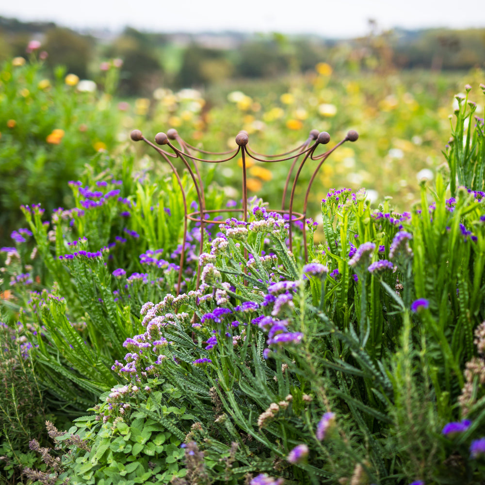 Agriframes Elegance Coronet Obelisk in a Rustic finish amongst different varieties of flower. 