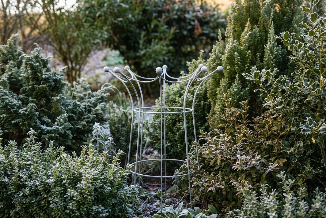 Elegance coronet obelisk amongst wintery shrubs