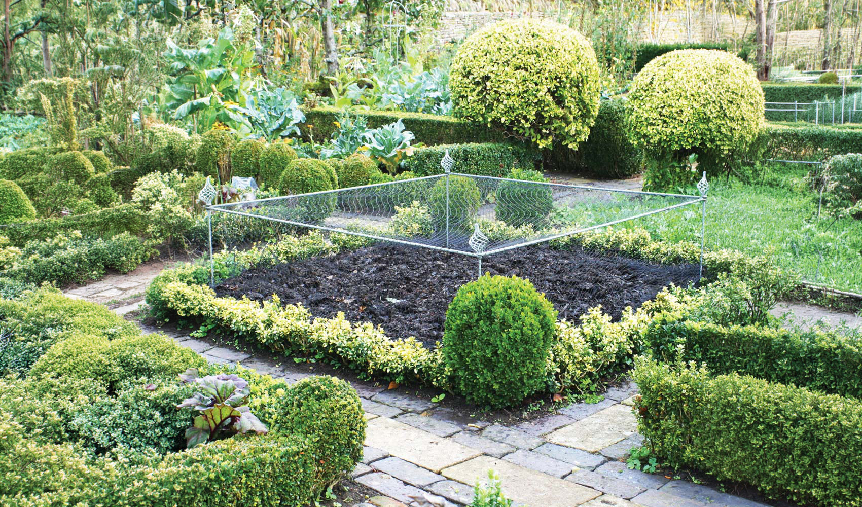 Elegance Crop Cage with spiral finials surrounding a soil bed in a large manicured garden