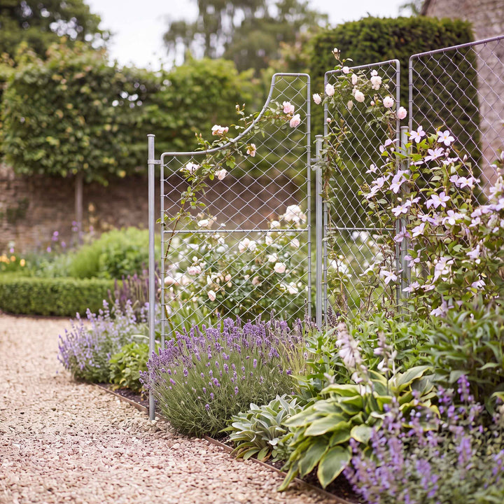 Agriframes elegance curved screens linked togehter and installed in a border flowerbed against a gravel garden path. 