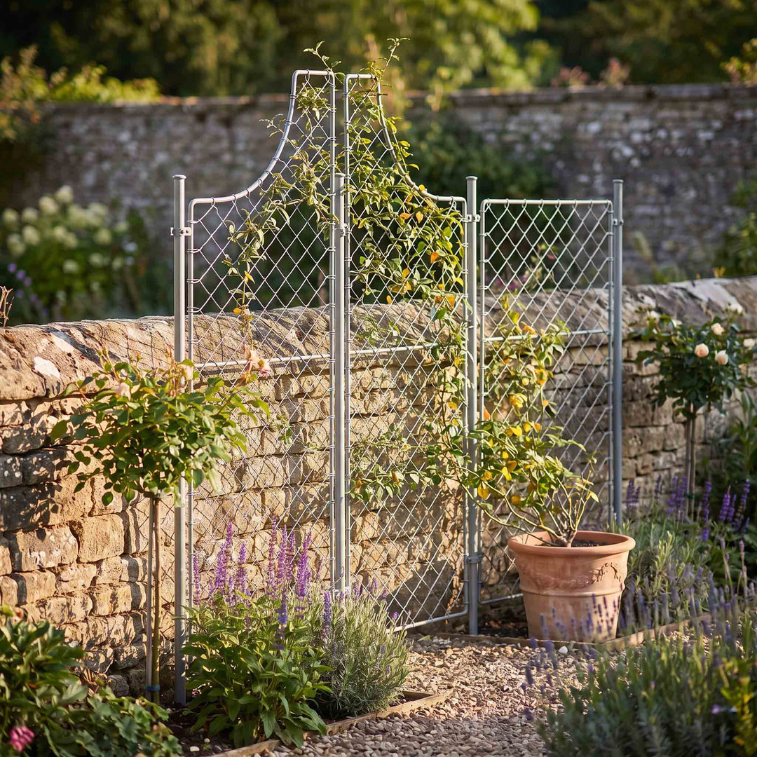 Agriframes curved screens against a stone wall amongst raised beds with a potted plant growing up its frame