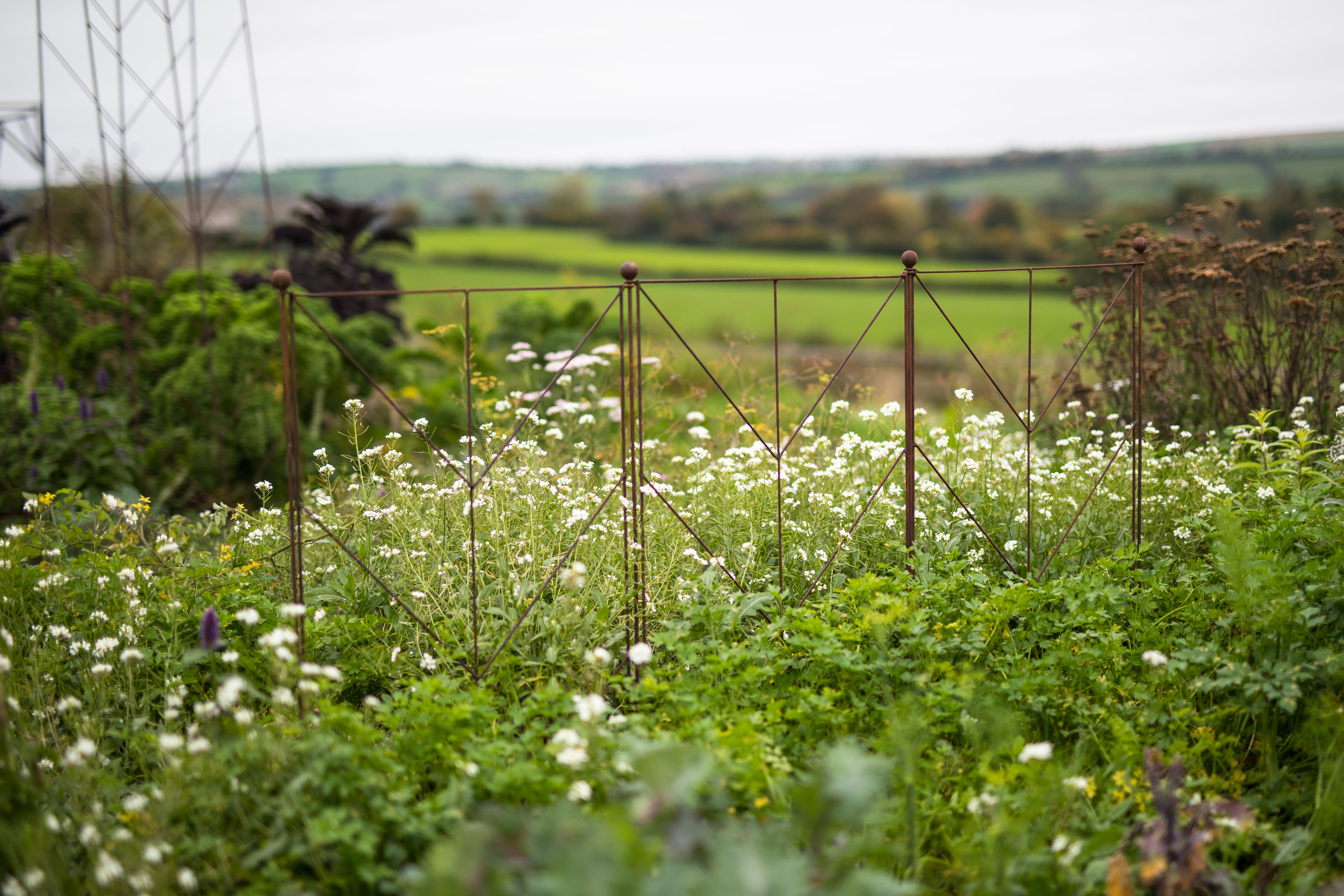 Agriframes Elegance Deco Panel Plant Support installed in a floral garden overlooking a countryside scene