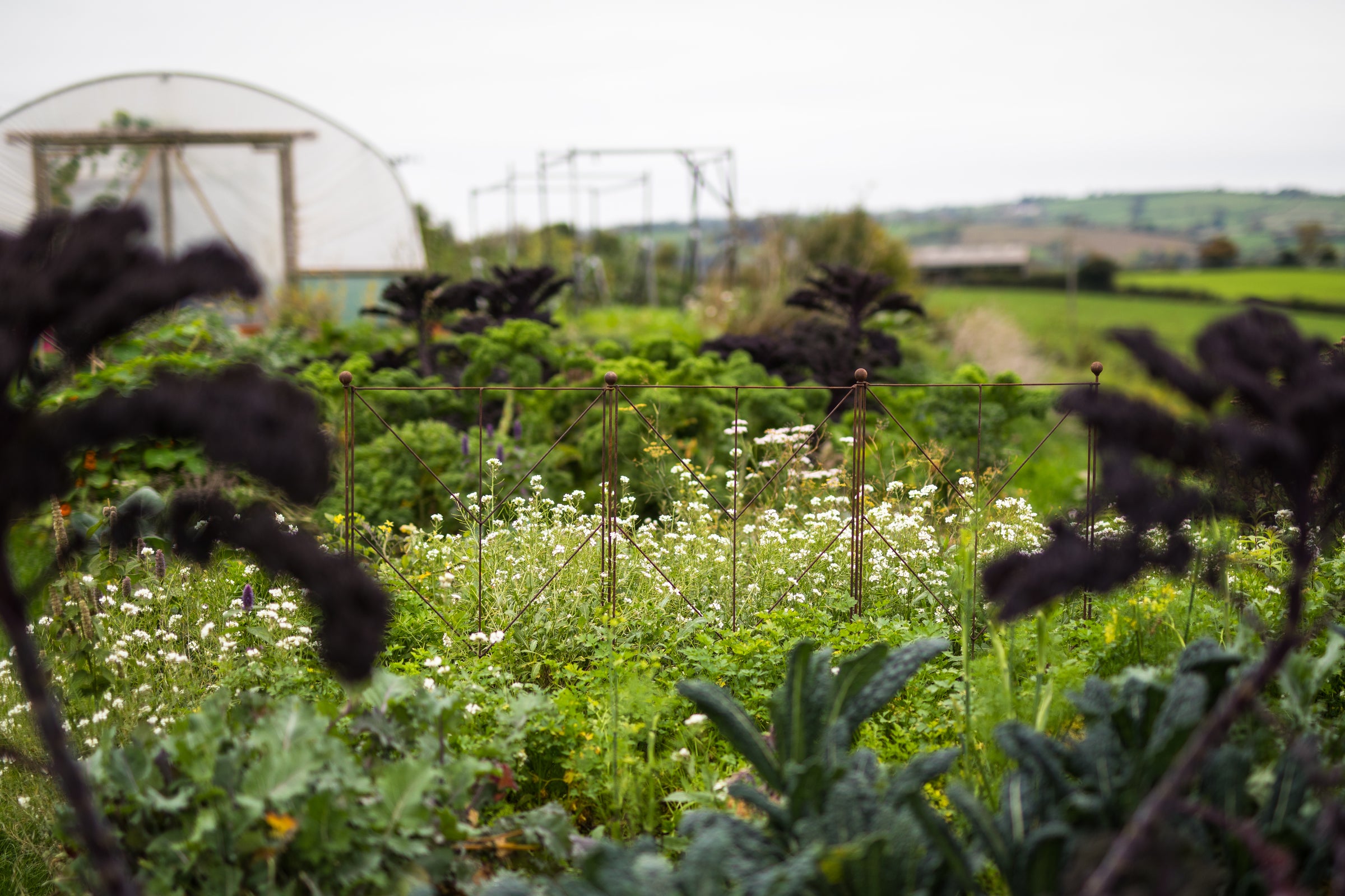 Agriframes Elegance Deco Panel Plant Support installed in a floral garden overlooking a countryside scene