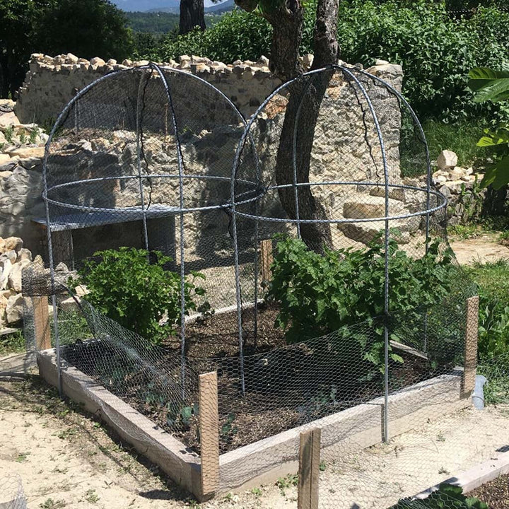 Two Agriframes Elegance Domed Fruit Cages in a raised bed with shrubs inside them