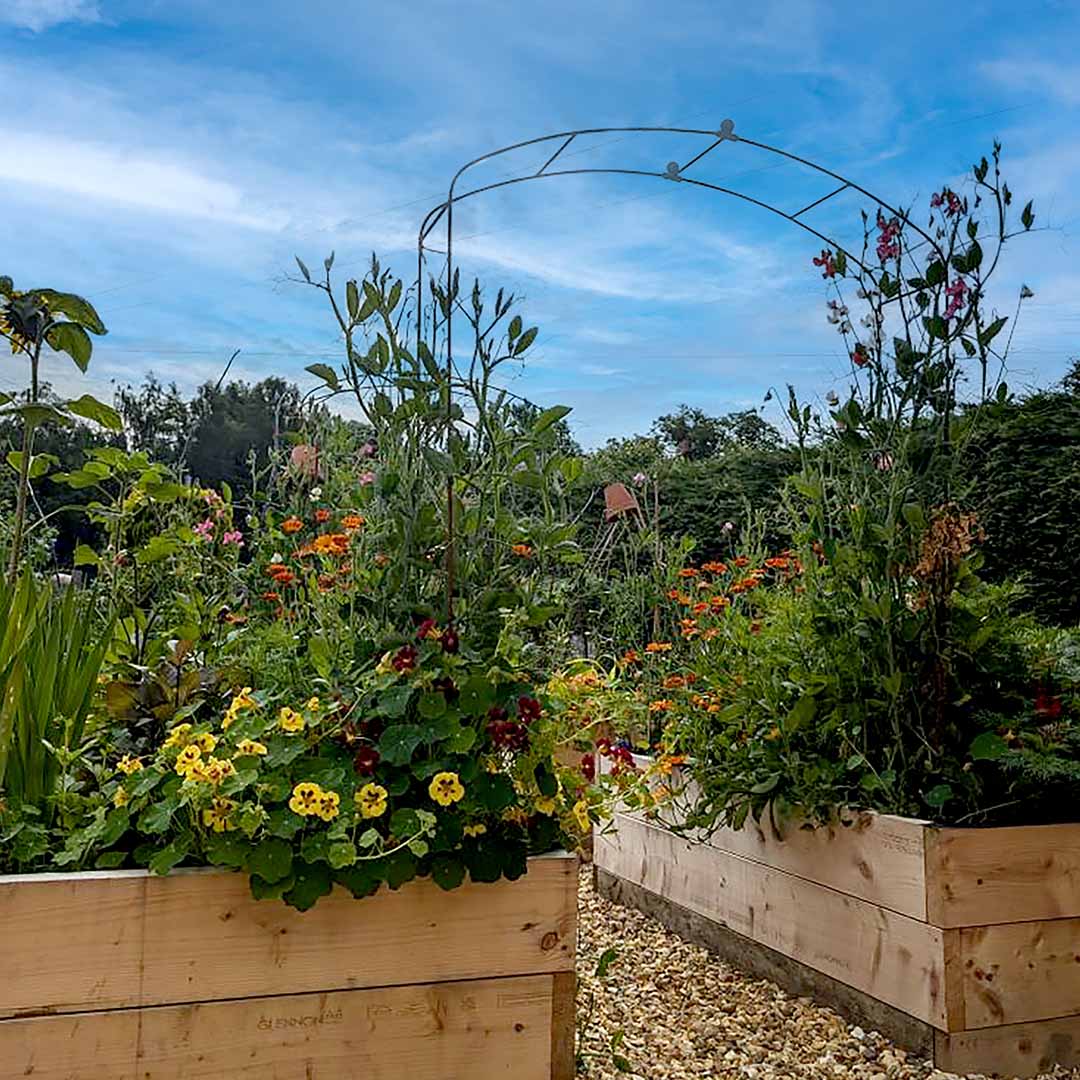 Elegance fine arch set in flower filled, raised beds, against a blue sky