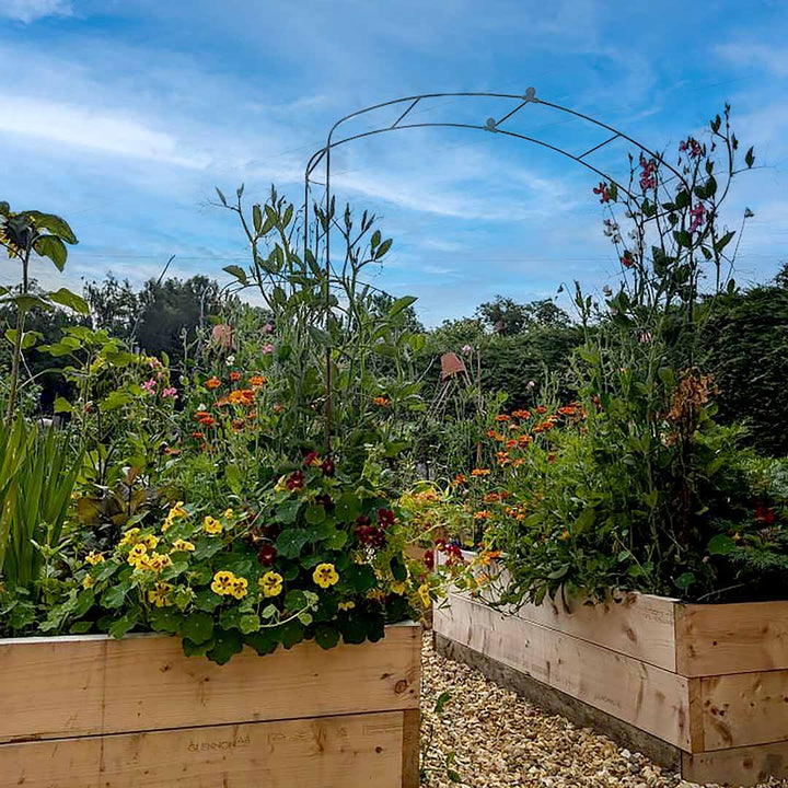 Elegance fine arch set in flower filled, raised beds, against a blue sky