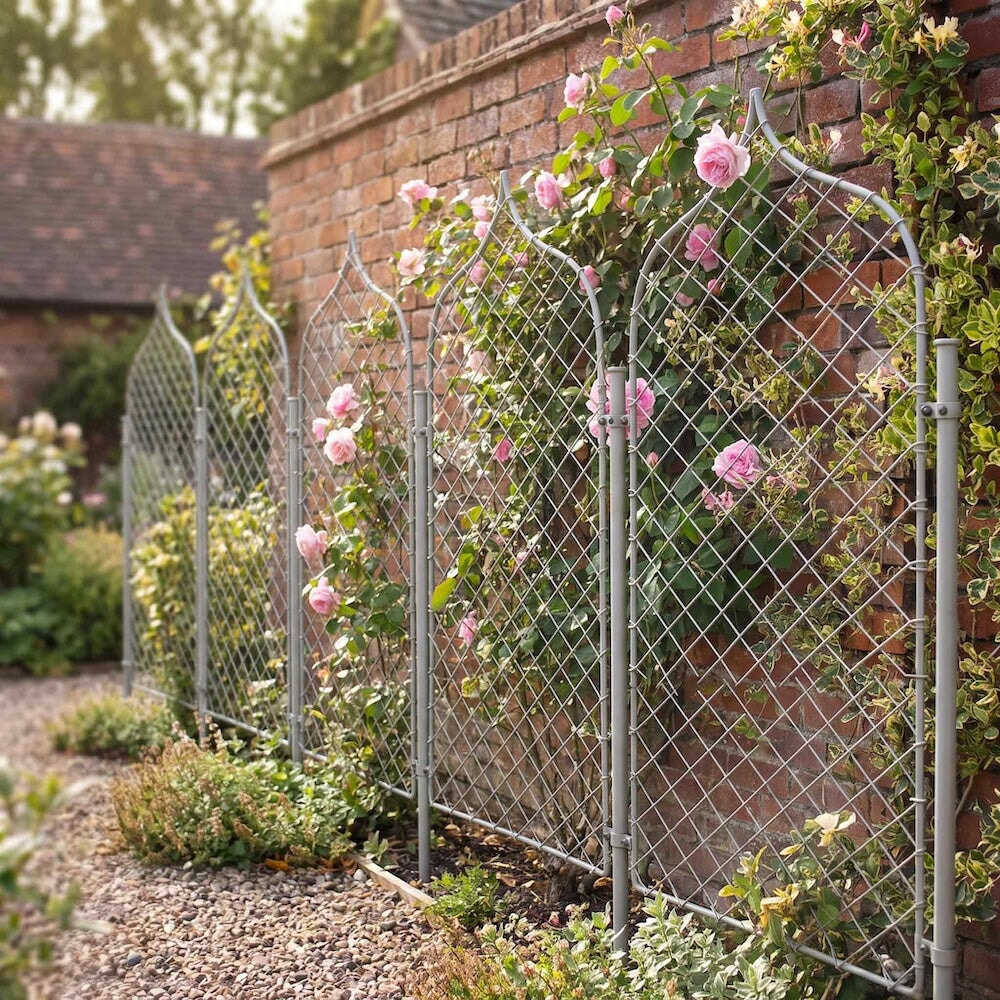 Several agriframes elegance gothic screens in a border flowerbed against a brick wall with roses growing up it