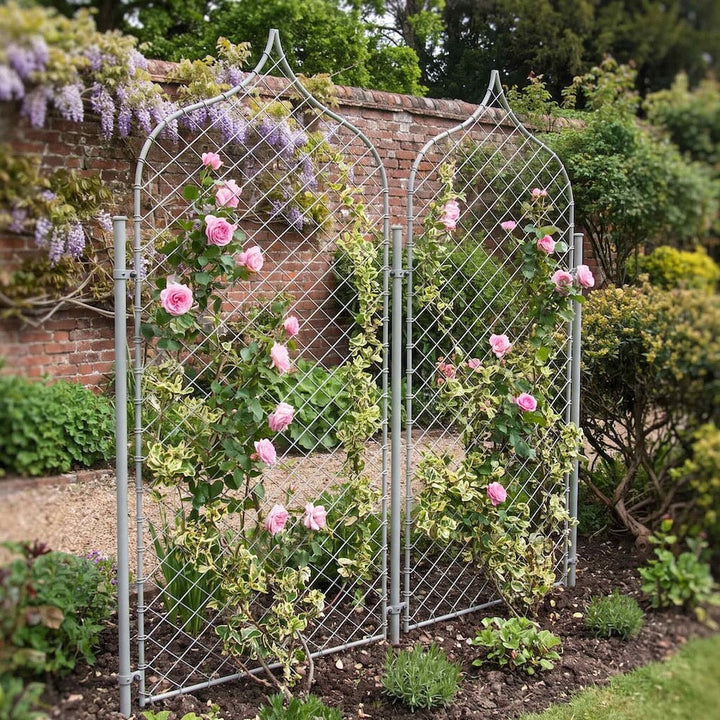 Two agriframes elegance gothic screens in a flowerbed with roses climbing up the frames 