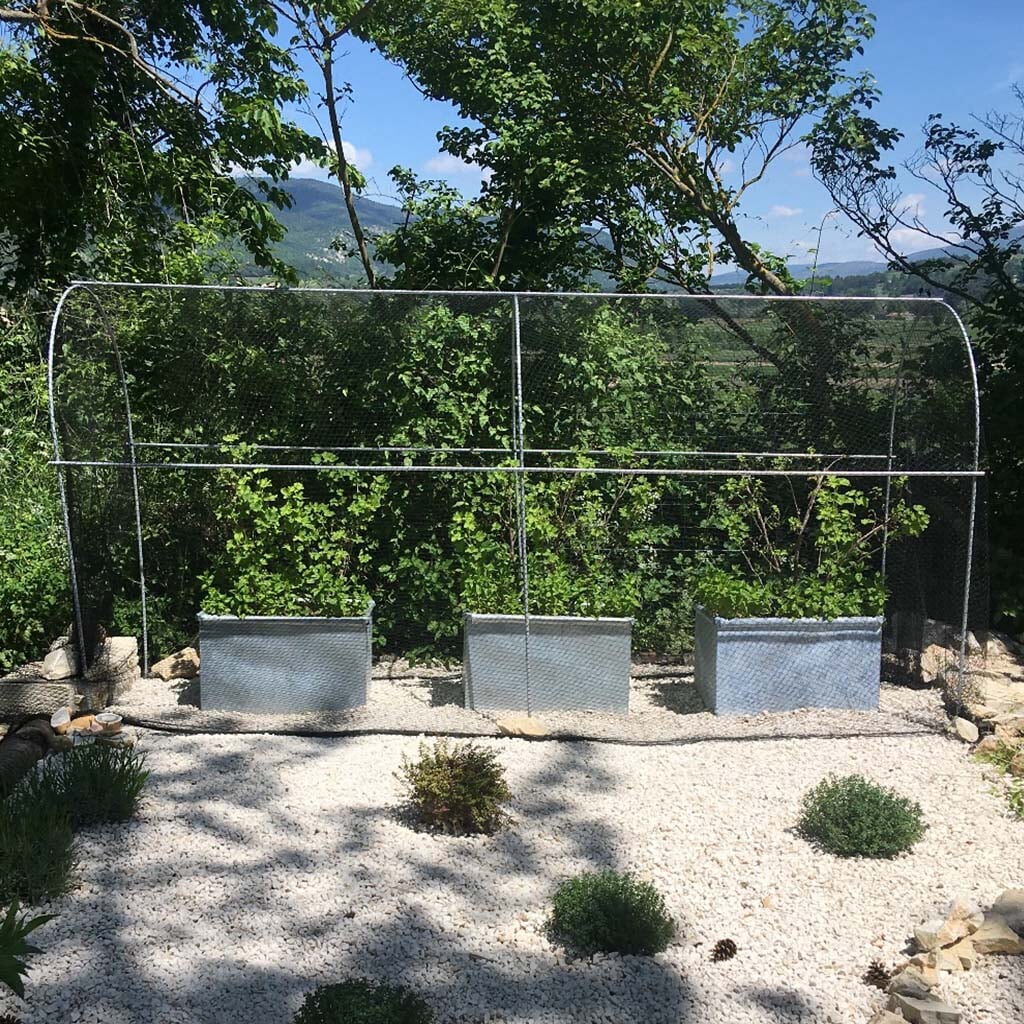 Side view of the Agriframes Elegance Long Domed Fruit Cage in a gravel garden