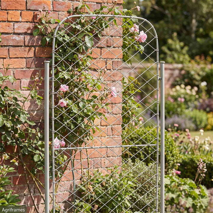 Agriframes elegance monet screen against a wall with climbing roses climbing up it 