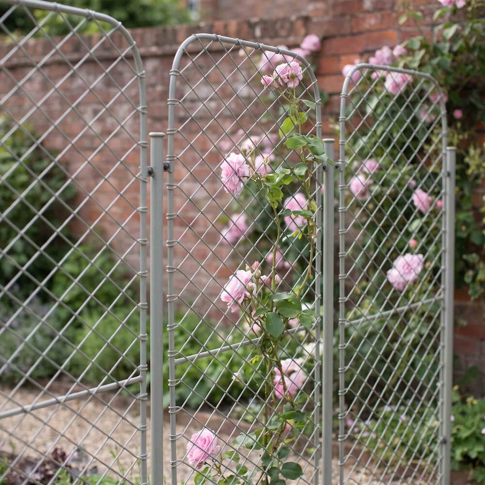 Three elegance monet screens linked together with roses climbing up them 