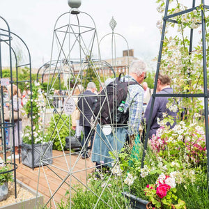 Elegance Obelisk at RHS Chelsea Flower Show featuring the Square Obelisk and King Obelisk