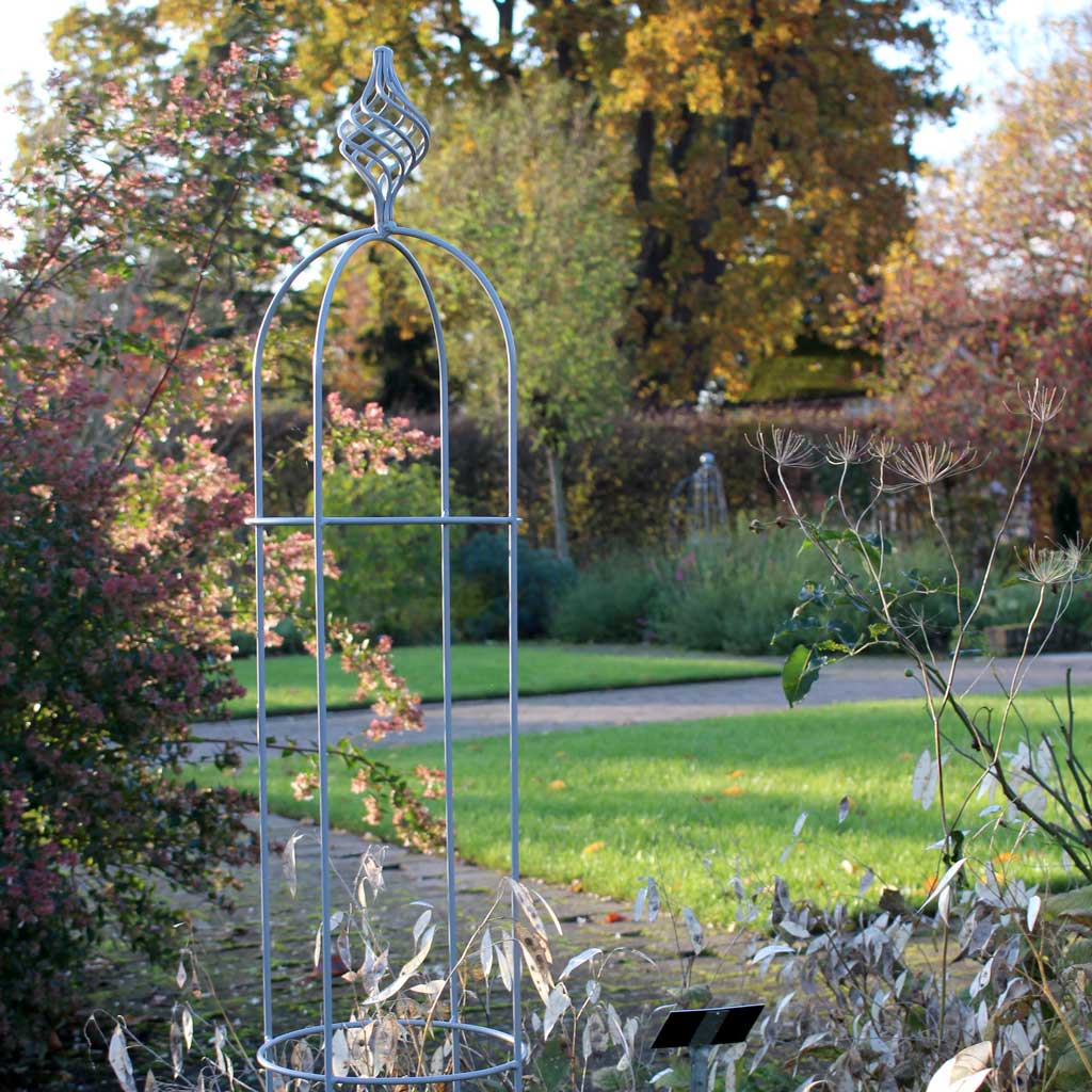 Elegance Obelisk Bluebell autumn 