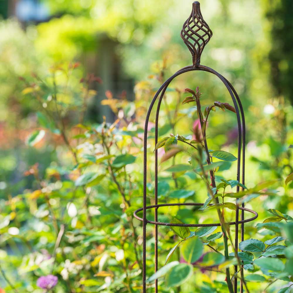Decorative metal garden stake with plants growing around it in a garden setting