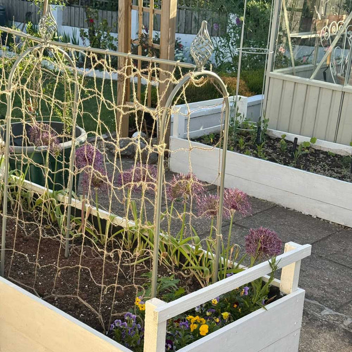 Garden scene with a decorative metal trellis and raised garden beds.