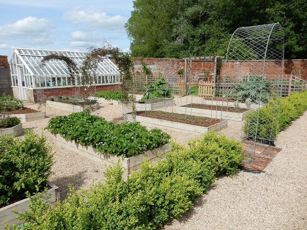 Elegance Round Arch in a lovely kitchen garden