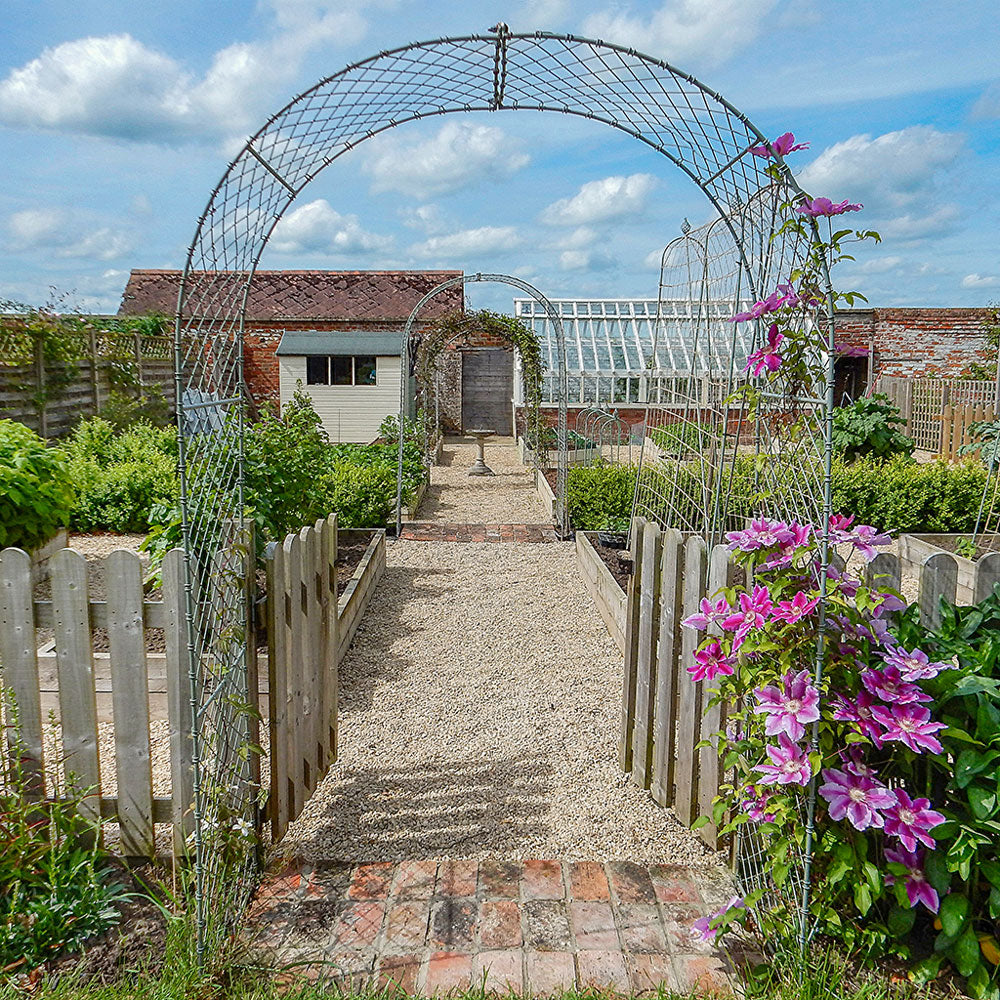 elegance arch with flowers growing up