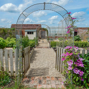 elegance arch with flowers growing up
