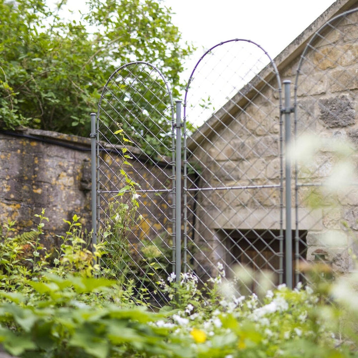 Agriframes elegance round screens linked together between a flowebed and the side of a house