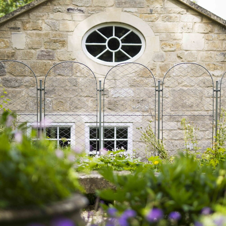 Several agriframes elegance round screens linked in a row between a flowerbed and the side of a house