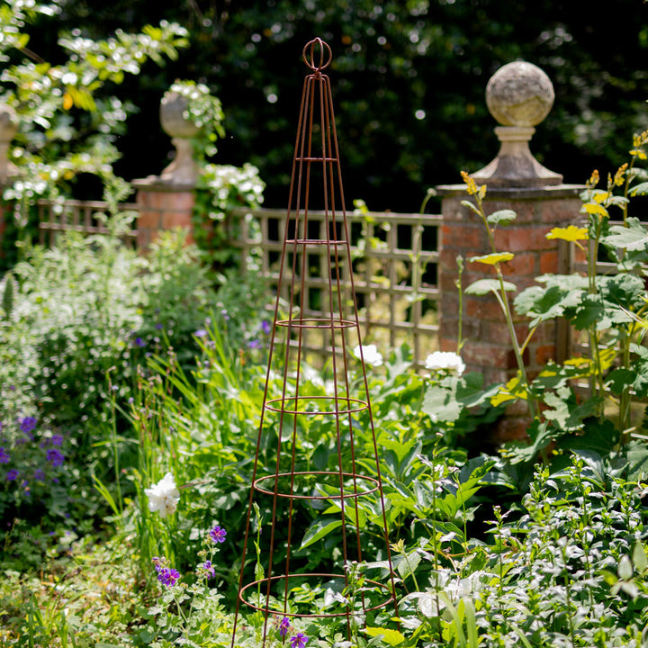 Agriframes Elegance Salisbury Obelisk in Rustic in garden on a sunny day