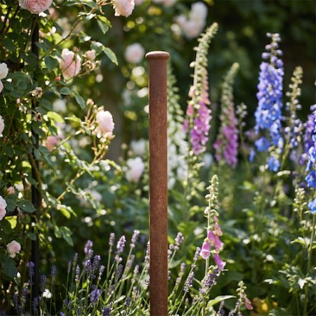 Agriframes elegance screen mounting pole in a flowerbed