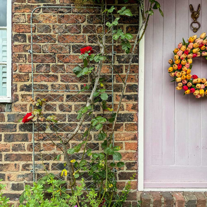 Agriframes Elegance Trellis with red roses growing on its frame against a brick wall next to a front door
