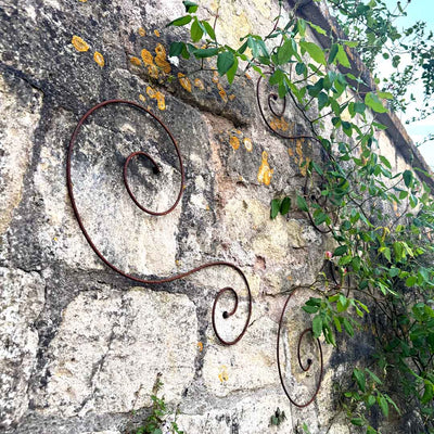 Elegance Scroll Wall Trellis