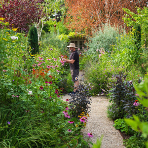 Elliot Neep Interview featuring his colourful garden 