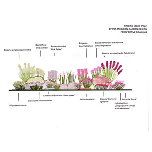 Garden design layout with various plants and their names on a white background