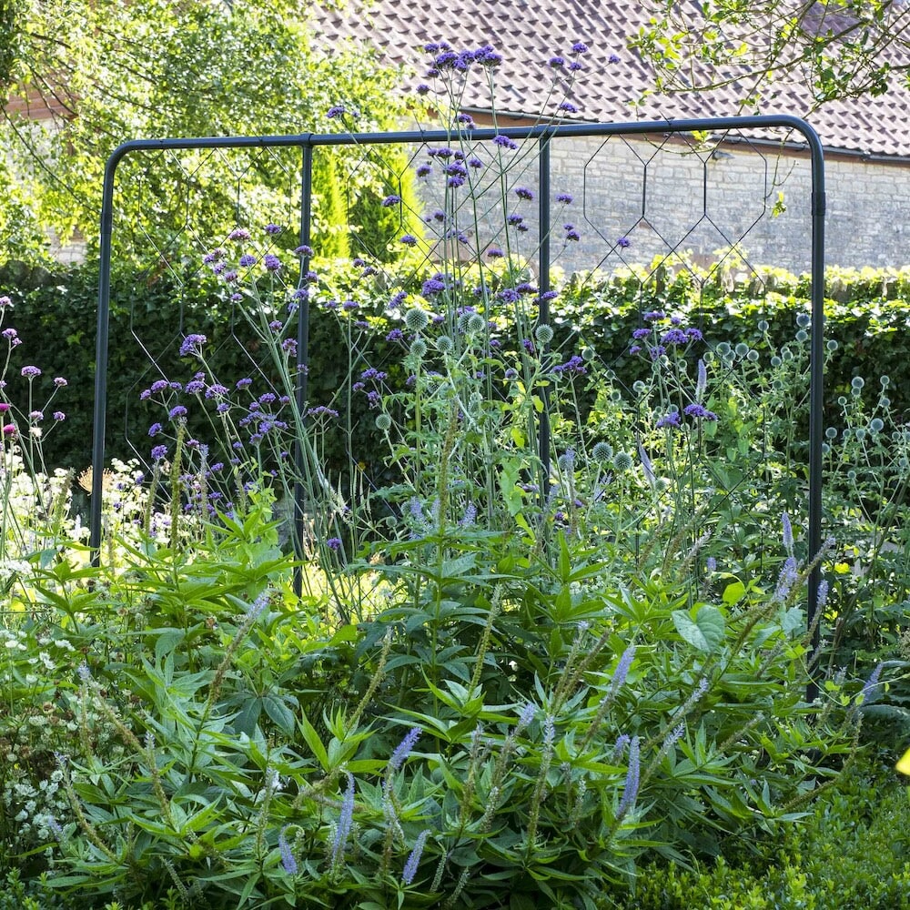 Agriframes standard flat fencing screen in a flowerbed