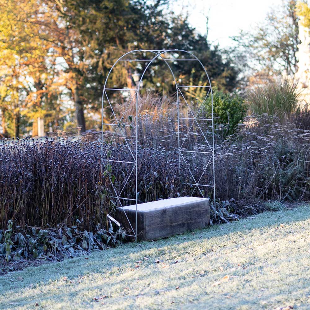 Garden scene with a metal arch and bench in a frosty garden setting