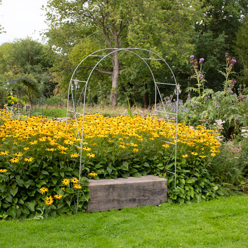 Fine Round Arch with yellow flowers in the background