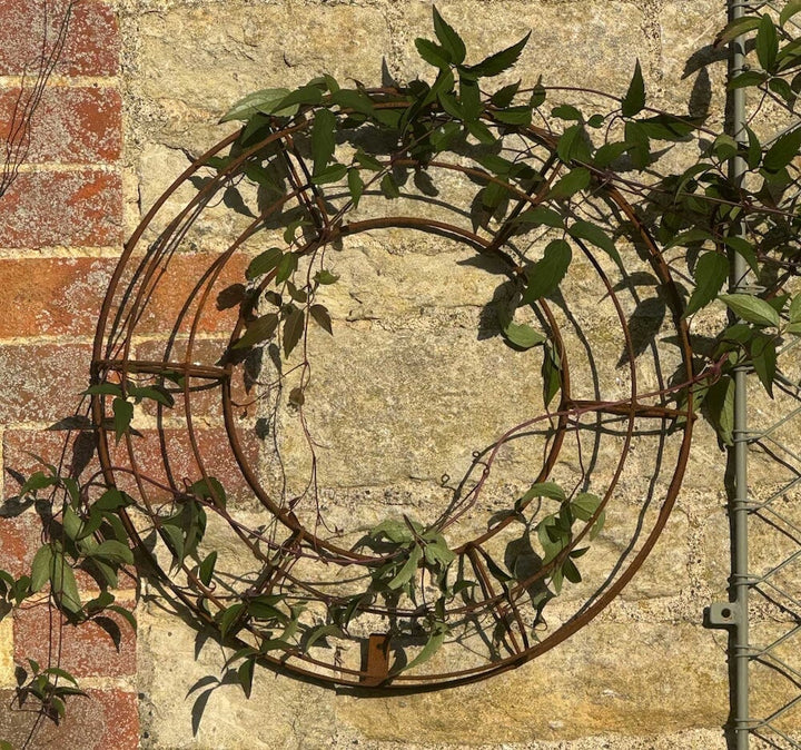 Agriframes florist wreath trellis in a rustic finish mounted on a stone wall with vines climbing through the frame. 