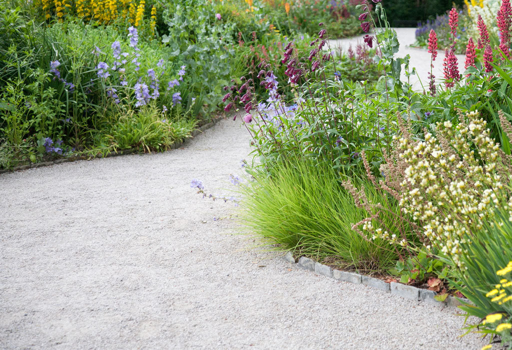 Pebbledash garden path bordered on each side by full flowerbed with different vanities of plant in them. 