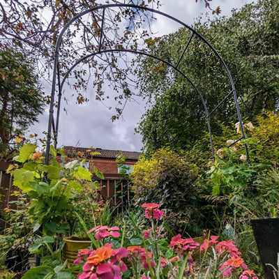 Fruit Tree Arch