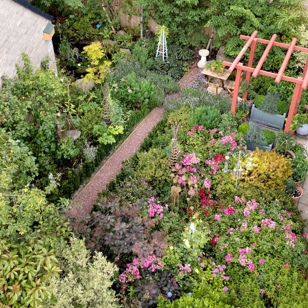 Overhead view of a lush garden with various plants and flowers.