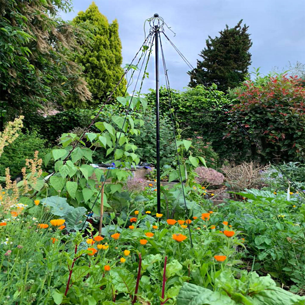 Garden Maypole