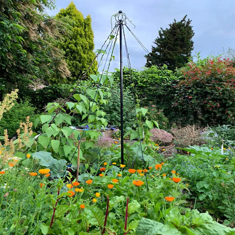 garden-maypole