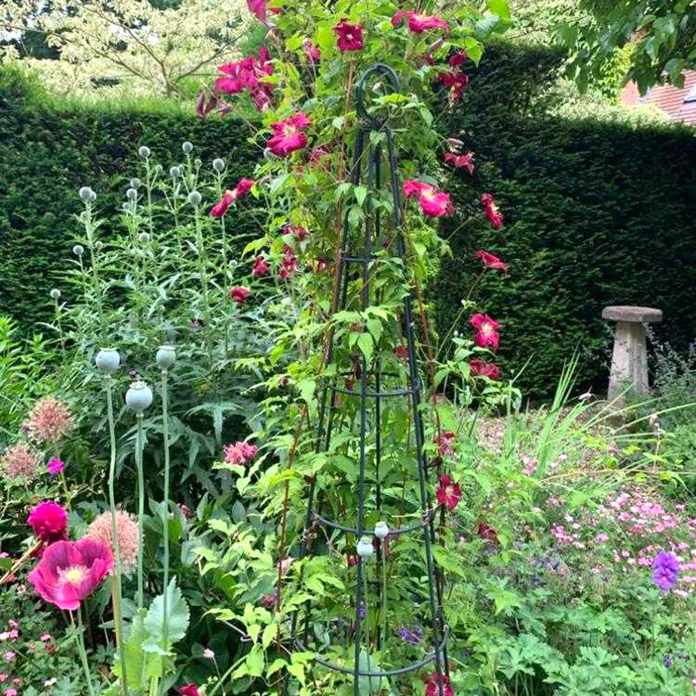 Garden scene with a green trellis and pink flowers against a hedge background
