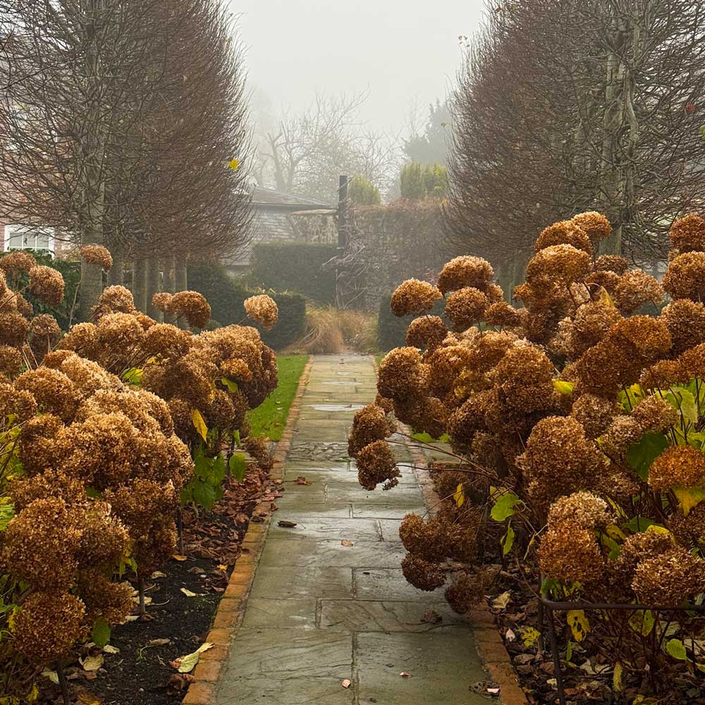 garden-pathway-with-autumn-flowers-on-each-side