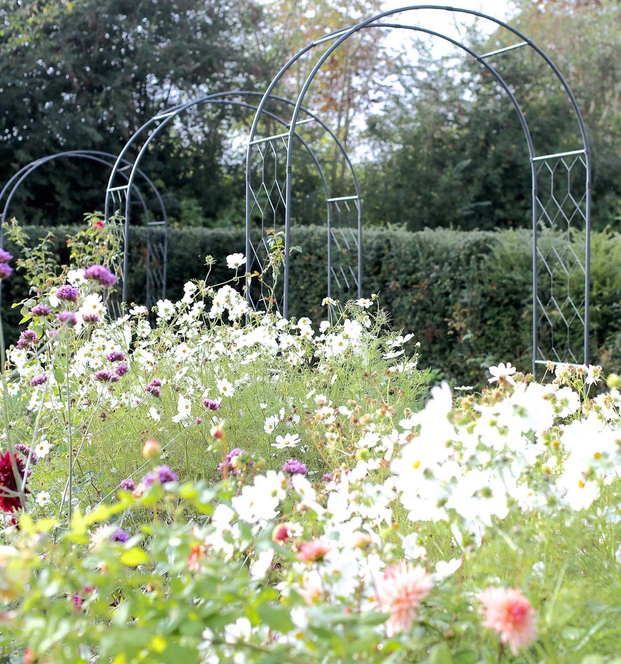 metal garden arches in a row