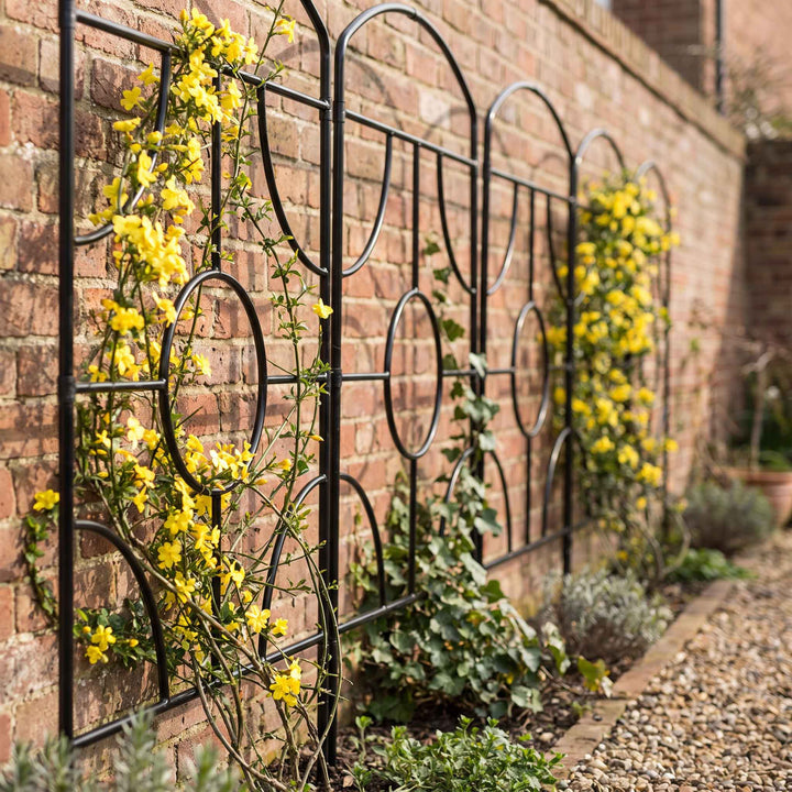 Several agriframes georgian monet screens in a narrow border flowerbed against a brick wall with yellow flowers growing up the frames