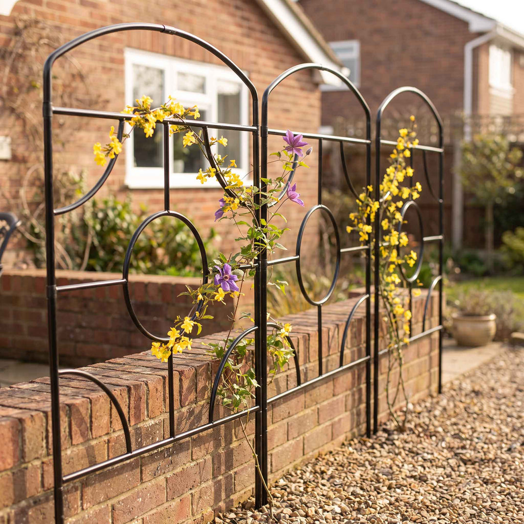 Trio of agriframes georgian monet screens against a short brick wall with yellow and purple flowers growing up the frame