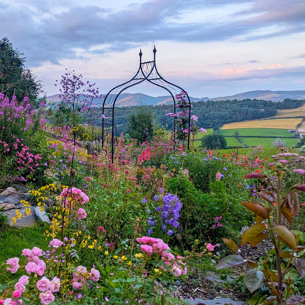 Gothic Arch with fields in the background and flowers growing all around