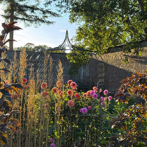 gothic-gazebo-flowers-surrounding