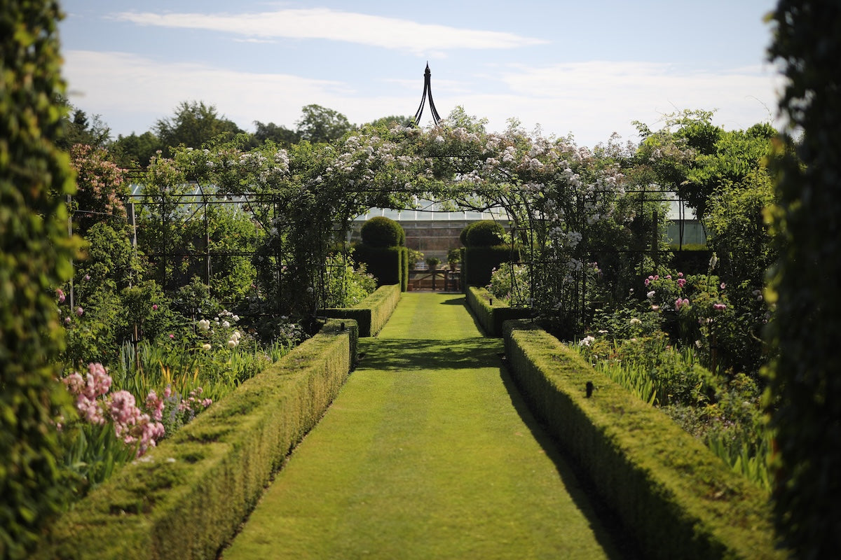AGriframes gothic gazebo installed over a grass path with roses growing over the frame. 