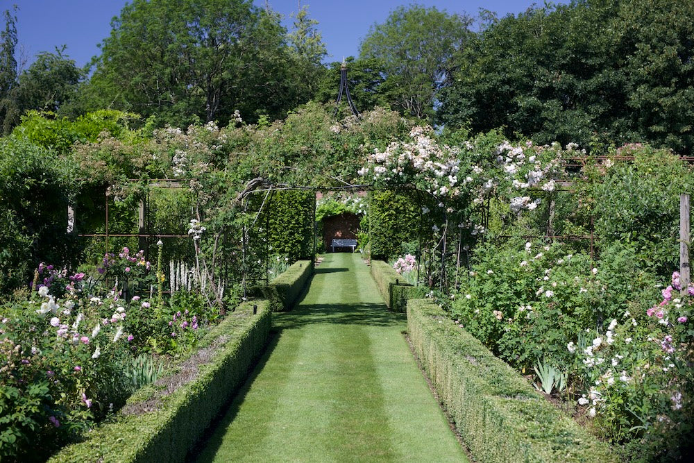 Agriframes gothic gazebo installed across a grass path with hedges on either side and roses climbing across the frame. 