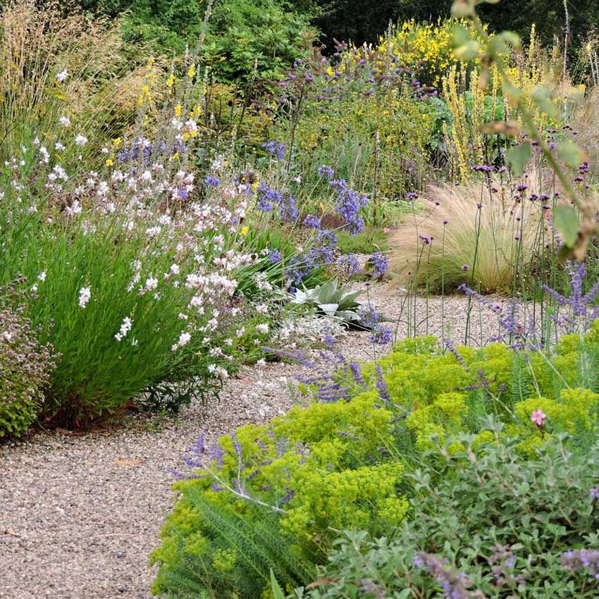 Gravel Garden